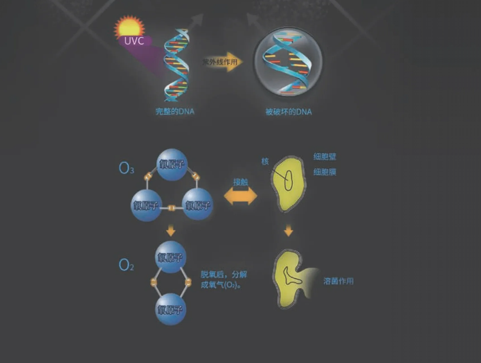 UV紫外線殺菌模塊
