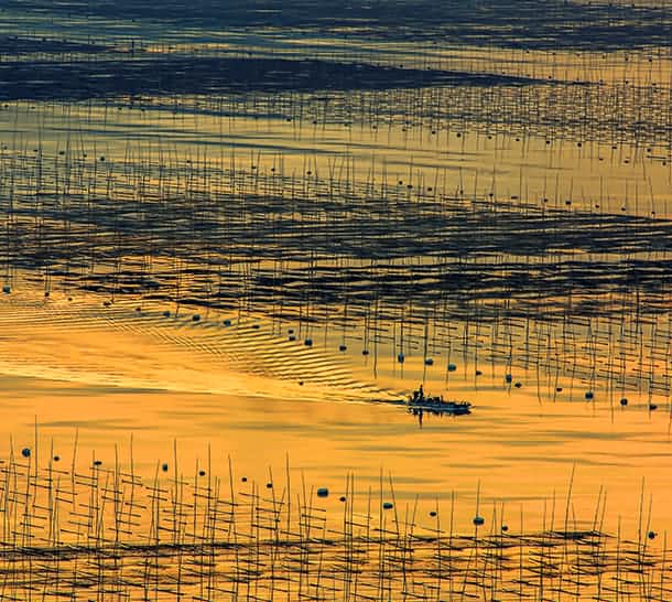 內(nèi)陸水產(chǎn)養(yǎng)殖