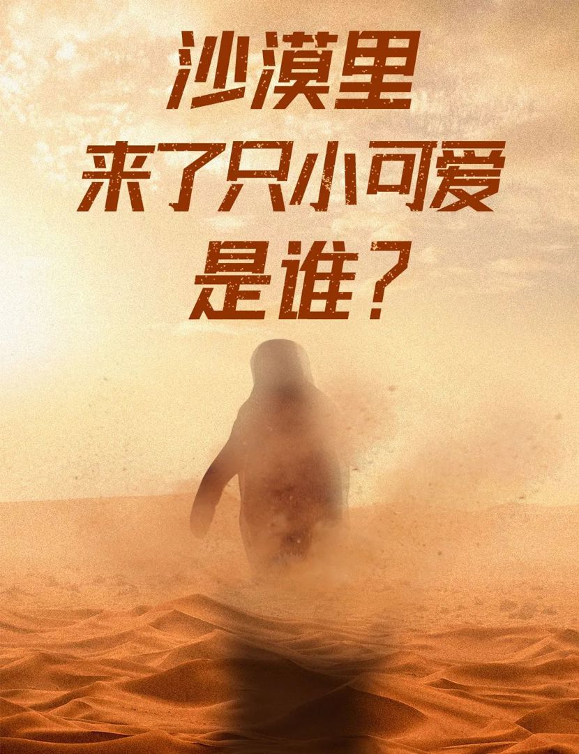 空氣能熱泵打造企鵝清涼驛站